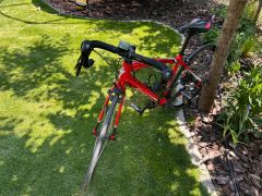 Juniorský Specialized Allez