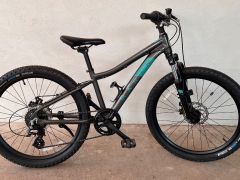 Detský bicykel Bayview Trail 24