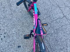 Mondraker Leader 16"