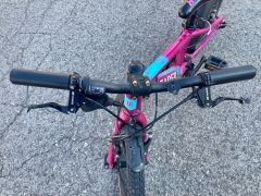 Mondraker Leader 16"