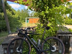 Karbonové kolesá Shimano Ultegra C36