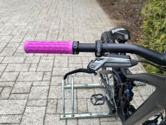 Dartmoor thunderbird fr