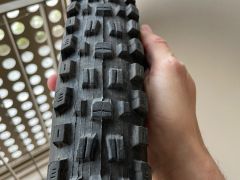 Maxxis assegai / dhf