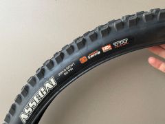 Maxxis assegai / dhf