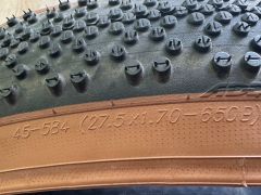 Schwalbe G-One Bite