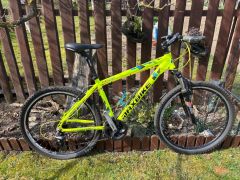 Maxbike M506