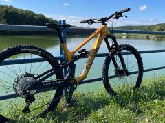 Canyon Spectral CF 8 Cllctv