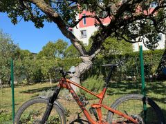 Trek slash 8 pennyflake