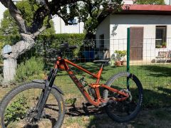 Trek slash 8 pennyflake