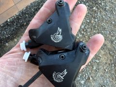 Campagnolo Record Disc 12-speed,