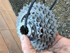 Campagnolo Record Disc 12-speed,