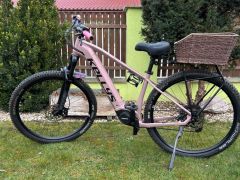 Kellys Tayen R50 P Rose Gold M (29") 820 Wh