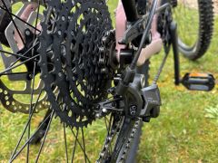 Kellys Tayen R50 P Rose Gold M (29") 820 Wh