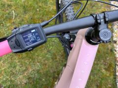 Kellys Tayen R50 P Rose Gold M (29") 820 Wh