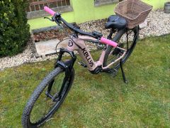 Kellys Tayen R50 P Rose Gold M (29") 820 Wh