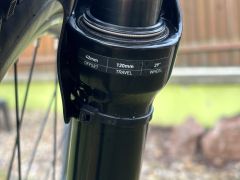 Kellys Tayen R50 P Rose Gold M (29") 820 Wh