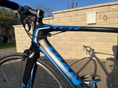 Preda Giant TCR vl.M/L