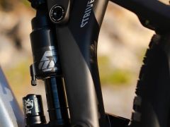 Canyon Strive