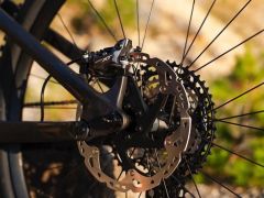 Canyon Strive