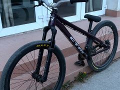 CTM dirtking Xpert 2022