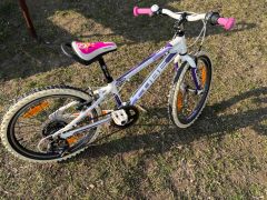 Cube Race series 200