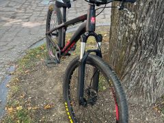 CTM Dirtking