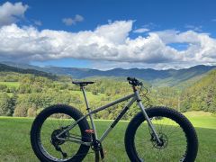 Singular puffin 26 fatbike alebo 29