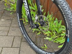 Canyon Spectral 125 CF LTD