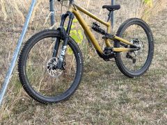 Specialized status 2 170