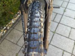 Canyon Spectral 125 AL - XL 29