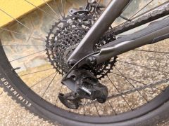 Specialized Levo carbon