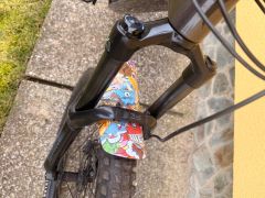 Specialized Levo carbon