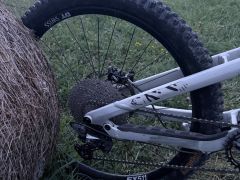 Canyon torque 5 2025