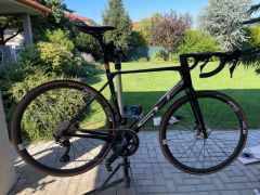 Predam Superior Team Issue GF