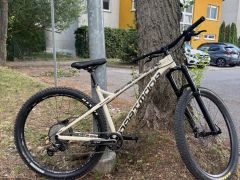 Bicykel Dartmoor Primal 29 M