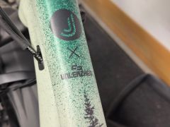 Specialized P1 trail