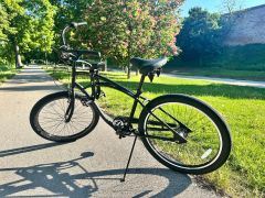 Elektra Cruiser + Shogun sedacka