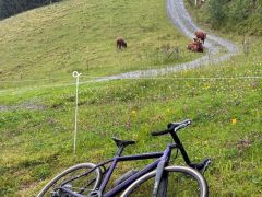 Stevens Vapor 1x11 53cm