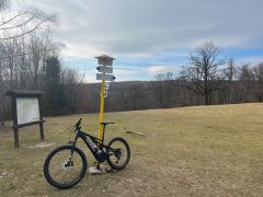 Specialized Turbo Levo Comp Carbon 2022