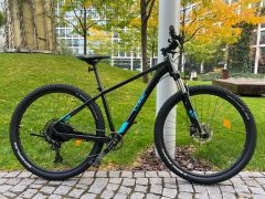 Cube Analog 29 Sram SX 1*12