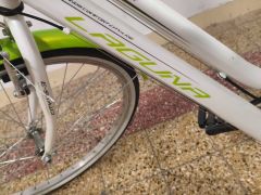 Mestký dámsky bicykel