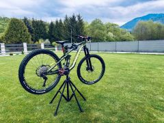 Canyon Strive AL