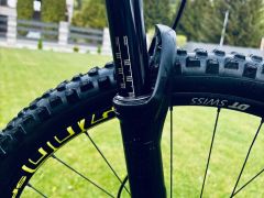 Canyon Strive AL