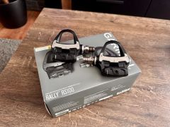Garmin Rally Rs100