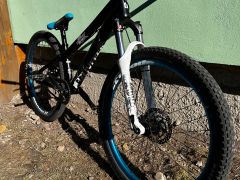 Specialized p