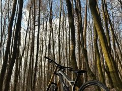 YT Tues 2017 Karbón 27,5