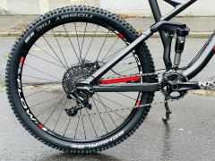 Canyon Nerve 140mm, custom