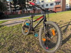 Superior Team 20'', 9,3 kg, kotúčové brzdy