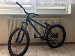 Specialized P1 Custom