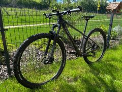 Orbea Alma M50 (2022) S